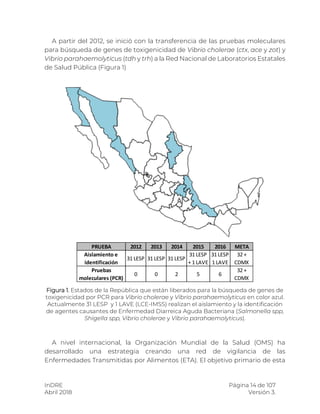 InDRE Página 14 de 107
Abril 2018 Versión 3.
A partir del 2012, se inició con la transferencia de las pruebas moleculares
para búsqueda de genes de toxigenicidad de Vibrio cholerae (ctx, ace y zot) y
Vibrio parahaemolyticus (tdh y trh) a la Red Nacional de Laboratorios Estatales
de Salud Pública (Figura 1)
Figura 1. Estados de la República que están liberados para la búsqueda de genes de
toxigenicidad por PCR para Vibrio cholerae y Vibrio parahaemolyticus en color azul.
Actualmente 31 LESP y 1 LAVE (LCE-IMSS) realizan el aislamiento y la identificación
de agentes causantes de Enfermedad Diarreica Aguda Bacteriana (Salmonella spp,
Shigella spp, Vibrio cholerae y Vibrio parahaemolyticus).
A nivel internacional, la Organización Mundial de la Salud (OMS) ha
desarrollado una estrategia creando una red de vigilancia de las
Enfermedades Transmitidas por Alimentos (ETA). El objetivo primario de esta
PRUEBA 2012 2013 2014 2015 2016 META
Aislamiento e
identificación
31 LESP 31 LESP 31 LESP
31 LESP
+ 1 LAVE
31 LESP
1 LAVE
32 +
CDMX
Pruebas
moleculares (PCR)
0 0 2 5 6
32 +
CDMX
 