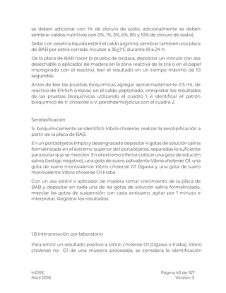 InDRE Página 43 de 107
Abril 2018 Versión 3.
se deben adicionar con 1% de cloruro de sodio; adicionalmente se deben
sembrar caldos nutritivos con 0%, 1%, 3%, 6%, 8% y 10% de cloruro de sodio).
Sellar con vaselina líquida estéril el caldo arginina; sembrar también una placa
de BAB por estría cerrada. Incubar a 36+1°C durante 18 a 24 h.
De la placa de BAB hacer la prueba de oxidasa, depositar un inóculo con asa
desechable o aplicador de madera en la zona reactiva de la tira o en el papel
impregnado con el reactivo, leer el resultado en un tiempo máximo de 10
segundos.
Antes de leer las pruebas bioquímicas agregar aproximadamente 0.5 mL de
reactivo de Ehrlich o Kovac en el caldo peptonado, interpretar los resultados
de las pruebas bioquímicas utilizando el cuadro 1, e identificar el patrón
bioquímico de V. cholerae o V. parahaemolyticus con el cuadro 2.
Serotipificación
Si bioquímicamente se identificó Vibrio cholerae, realizar la serotipificación a
partir de la placa de BAB.
En un portaobjetos limpio y desengrasado depositar 4 gotas de solución salina
formalinizada en el extremo superior del portaobjetos, separadas lo suficiente
para evitar que se mezclen. En el extremo inferior colocar una gota de solución
salina (testigo negativo), una gota de suero polivalente Vibrio cholerae O1, una
gota de suero monovalente Vibrio cholerae O1 Ogawa y una gota de suero
monovalente Vibrio cholerae O1 Inaba
Con un asa estéril o aplicador de madera tomar crecimiento de la placa de
BAB y depositar en cada una de las gotas de solución salina formalinizada,
mezclar las gotas de suspensión con cada antisuero, agitar por 1 minuto e
interpretar. Registrar los resultados.
1.8.Interpretación por laboratorio
Para emitir un resultado positivo a Vibrio cholerae O1 (Ogawa o Inaba), Vibrio
cholerae no O1 de una muestra procesada, se considera la identificación
 