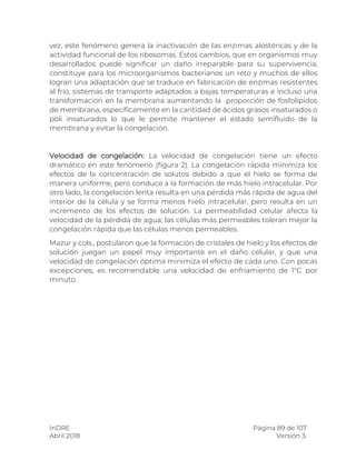 InDRE Página 89 de 107
Abril 2018 Versión 3.
vez, este fenómeno genera la inactivación de las enzimas alostéricas y de la
actividad funcional de los ribosomas. Estos cambios, que en organismos muy
desarrollados puede significar un daño irreparable para su supervivencia,
constituye para los microorganismos bacterianos un reto y muchos de ellos
logran una adaptación que se traduce en fabricación de enzimas resistentes
al frío, sistemas de transporte adaptados a bajas temperaturas e incluso una
transformación en la membrana aumentando la proporción de fosfolípidos
de membrana, específicamente en la cantidad de ácidos grasos insaturados o
poli insaturados lo que le permite mantener el estado semifluido de la
membrana y evitar la congelación.
Velocidad de congelación: La velocidad de congelación tiene un efecto
dramático en este fenómeno (figura 2). La congelación rápida minimiza los
efectos de la concentración de solutos debido a que el hielo se forma de
manera uniforme, pero conduce a la formación de más hielo intracelular. Por
otro lado, la congelación lenta resulta en una pérdida más rápida de agua del
interior de la célula y se forma menos hielo intracelular, pero resulta en un
incremento de los efectos de solución. La permeabilidad celular afecta la
velocidad de la pérdida de agua; las células más permeables toleran mejor la
congelación rápida que las células menos permeables.
Mazur y cols., postularon que la formación de cristales de hielo y los efectos de
solución juegan un papel muy importante en el daño celular, y que una
velocidad de congelación óptima minimiza el efecto de cada uno. Con pocas
excepciones, es recomendable una velocidad de enfriamiento de 1°C por
minuto.
 