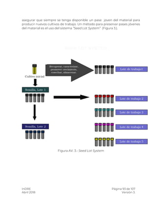 InDRE Página 93 de 107
Abril 2018 Versión 3.
asegurar que siempre se tenga disponible un pase joven del material para
producir nuevos cultivos de trabajo. Un método para preservar pases jóvenes
del material es el uso del sistema “Seed Lot System” (Figura 3.).
Figura AV. 3.- Seed Lot System
 