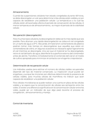 InDRE Página 98 de 107
Abril 2018 Versión 3.
Almacenamiento
Cuando las suspensiones celulares han estado congeladas durante 48 horas,
se debe descongelar un vial para determinar si las células están viables y si son
capaces de establecer una población celular. La temperatura a la cual las
células están almacenadas afecta el periodo de conservación de las células. A
menor temperatura de almacenamiento, es mayor el periodo de la viabilidad
celular.
Recuperación (descongelación)
Para muchos tipos celulares, la descongelación debe ser lo más rápido que sea
posible. Para alcanzar una rápida descongelación se coloca el vial congelado
en un baño de agua a 37°C. Recuerde, el material en contenedores de plástico
podrían tomar más tiempo en descongelarse que aquellos que están en
contenedores de vidrio, en algunas ocasiones es necesario agitar ligeramente
el vial mientras se descongela. Una vez que el material se ha descongelado,
retire el vial del baño de agua, desinfecte la superficie externa del contenedor
antes de abrirlo. Transfiera inmediatamente el contenido del vial en el medio
de cultivo apropiado para minimizar el contacto con el agente crioprotector.
Determinación de recuperación celular
Los métodos usados para estimar el número de células viables recuperadas
depende del tipo de material conservado. La inspección visual puede ser
engañosa y aunque las tinciones son efectivas determinando la presencia de
células viables, para muchas células de mamíferos no indican que sean
capaces de establecer una población celular.
Para células microbianas se puede realizar una cuenta en placa de las células
viables y se espera que la concentración de células sea semejante entre los
viales. Si existe una diferencia significativa en la concentración celular entre los
viales, puede ser un indicador de que algo pasó durante el proceso de
congelación, almacenamiento y manejo.
Control de inventarios
 