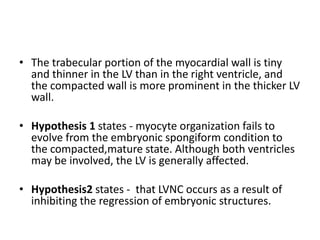 • The trabecular portion of the myocardial wall is tiny
and thinner in the LV than in the right ventricle, and
the compacted wall is more prominent in the thicker LV
wall.
• Hypothesis 1 states - myocyte organization fails to
evolve from the embryonic spongiform condition to
the compacted,mature state. Although both ventricles
may be involved, the LV is generally affected.
• Hypothesis2 states - that LVNC occurs as a result of
inhibiting the regression of embryonic structures.
 