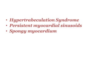 • Hypertrabeculation Syndrome
• Persistent myocardial sinusoids
• Spongy myocardium
 