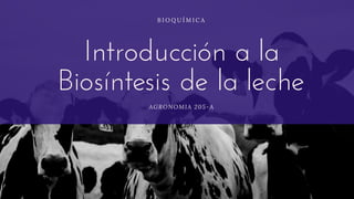 Introducción a la
Biosíntesis de la leche
B I O Q U Í M I C A
AGRONOMIA 205-A
 