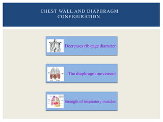 CHEST WALL AND DIAPHRAGM
CONFIGURATION
Decreases rib cage diameter
Strength of inspiratory muscles
The diaphragm movement
 