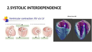 LV RV ASSESSMENT.pptx pocus ultrasound in trauma | PPTX