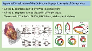 LV segment and regional study on ECHO 4.pptx