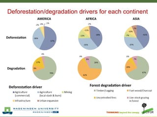 A stepwise approach to reference levels
