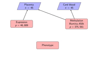 Expression
p = 46, 889
Methylation
Illumina 450k
p = 375, 561
Phenotype
Placenta
n = 45
Cord blood
n = 45
 