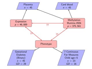 Expression
p = 46, 889
Methylation
Illumina 450k
p = 375, 561
Phenotype
Placenta
n = 45
Cord blood
n = 45
Gestational
Diab...