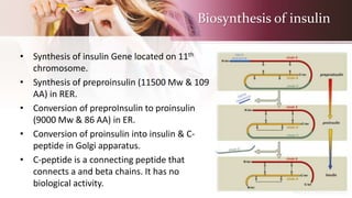 Biosynthesis of insulin
• Synthesis of insulin Gene located on 11th
chromosome.
• Synthesis of preproinsulin (11500 Mw & 109
AA) in RER.
• Conversion of preproInsulin to proinsulin
(9000 Mw & 86 AA) in ER.
• Conversion of proinsulin into insulin & C-
peptide in Golgi apparatus.
• C-peptide is a connecting peptide that
connects a and beta chains. It has no
biological activity.
 