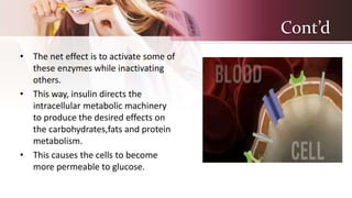 Cont’d
• The net effect is to activate some of
these enzymes while inactivating
others.
• This way, insulin directs the
intracellular metabolic machinery
to produce the desired effects on
the carbohydrates,fats and protein
metabolism.
• This causes the cells to become
more permeable to glucose.
 