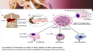Product A
• Feature 1
• Feature 2
• Feature 3
Product B
• Feature 1
• Feature 2
• Feature 3
 
