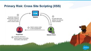 Primary Risk: Cross Site Scripting (XSS)
 
