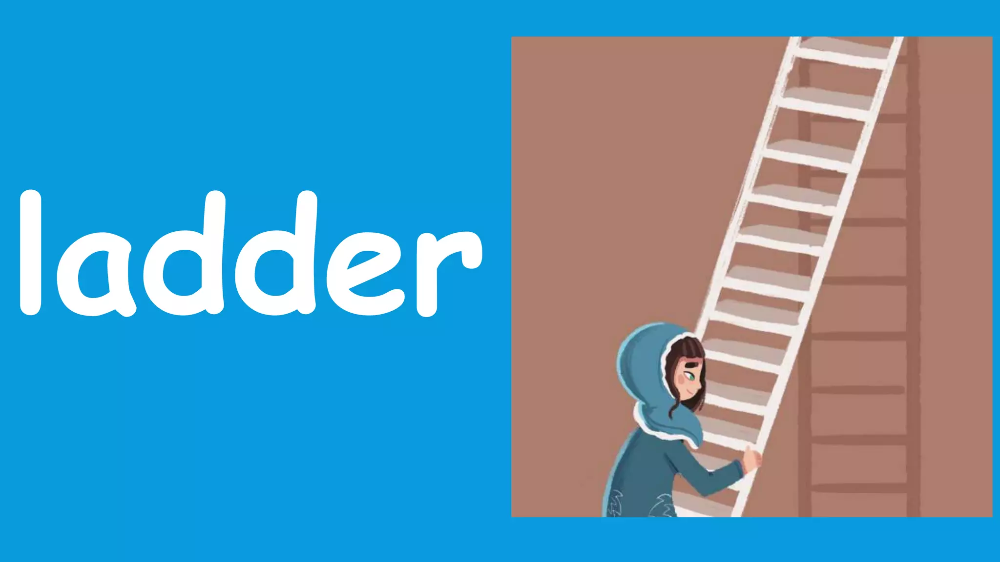 ladder