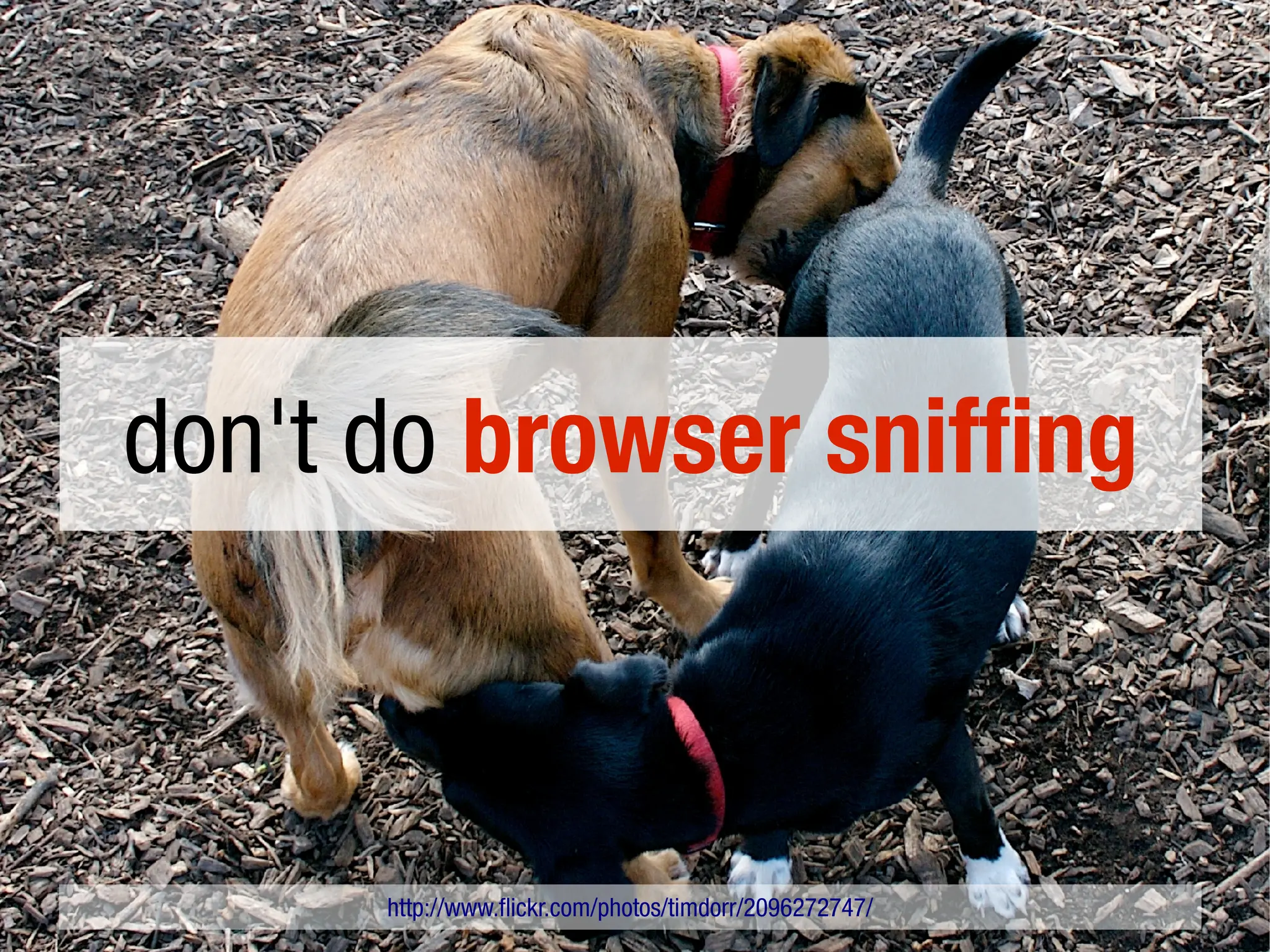 don't do browser sniffing



      http://www.flickr.com/photos/timdorr/2096272747/
 
