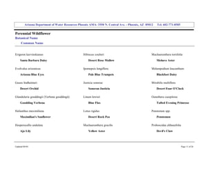 Arizona Department of Water Resources Phoenix AMA­ 3550 N. Central Ave. ­ Phoenix, AZ  85012     Tel. 602­771­8585 


Perennial Wildflower 
Botanical Name 
     Common Name 


Erigeron karvinskianus                              Hibiscus coulteri                                 Machaeranthera tortifolia 
     Santa Barbara Daisy                                Desert Rose Mallow                                Mohave Aster 

Evolvulus arizonicus                                Ipomopsis longiflora                              Melampodium leucanthum 
     Arizona Blue Eyes                                  Pale Blue Trumpets                                Blackfoot Daisy 

Gaura lindheimeri                                   Justicia sonorae                                  Mirabilis multiflora 
     Desert Orchid                                      Sonoran Justicia                                  Desert Four O'Clock 

Glandularia gooddingii (Verbena gooddingii)         Linum lewisii                                     Oenothera caespitosa 
     Goodding Verbena                                   Blue Flax                                         Tufted Evening Primrose 

Helianthus maximiliana                              Lotus rigidus                                     Penstemon spp. 
     Maximilian's Sunflower                             Desert Rock Pea                                   Penstemon 

Hesperocallis undulata                              Machaeranthera gracilis                           Proboscidea altheaefolia 
     Ajo Lily                                           Yellow Aster                                      Devil's Claw 




Updated 08/04                                                                                                                  Page 11 of 26 
 