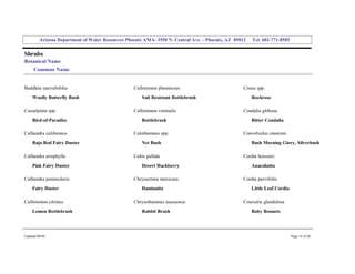 Arizona Department of Water Resources Phoenix AMA­ 3550 N. Central Ave. ­ Phoenix, AZ  85012     Tel. 602­771­8585 


Shrubs 
Botanical Name 
     Common Name 


Buddleia marrubifolia                               Callistemon phoeniceus                            Cistus spp. 
     Woolly Butterfly Bush                              Salt Resistant Bottlebrush                        Rockrose 

Caesalpinia spp.                                    Callistemon viminalis                             Condalia globosa 
     Bird­of­Paradise                                   Bottlebrush                                       Bitter Condalia 

Calliandra californica                              Calothamnus spp.                                  Convolvulus cneorum 
     Baja Red Fairy Duster                              Net Bush                                          Bush Morning Glory, Silverbush 

Calliandra eriophylla                               Celtis pallida                                    Cordia boissieri 
     Pink Fairy Duster                                  Desert Hackberry                                  Anacahuita 

Calliandra peninsularis                             Chrysactinia mexicana                             Cordia parvifolia 
     Fairy Duster                                       Damianita                                         Little Leaf Cordia 

Callistemon citrinus                                Chrysothamnus nauseosus                           Coursetia glandulosa 
     Lemon Bottlebrush                                  Rabbit Brush                                      Baby Bonnets 




Updated 08/04                                                                                                                   Page 14 of 26 
 