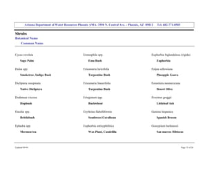 Arizona Department of Water Resources Phoenix AMA­ 3550 N. Central Ave. ­ Phoenix, AZ  85012     Tel. 602­771­8585 


Shrubs 
Botanical Name 
     Common Name 


Cycas revoluta                                      Eremophila spp.                                   Euphorbia biglandulosa (rigida) 
     Sago Palm                                          Emu Bush                                          Euphorbia 

Dalea spp.                                          Ericameria laricifolia                            Feijoa sellowiana 
     Smoketree, Indigo Bush                             Turpentine Bush                                   Pineapple Guava 

Dicliptera resupinata                               Ericameria linearifolia                           Forestiera neomexicana 
     Native Dicliptera                                  Turpentine Bush                                   Desert Olive 

Dodonaea viscosa                                    Eriogonum spp.                                    Fraxinus greggii 
     Hopbush                                            Buckwheat                                         Littleleaf Ash 

Encelia spp.                                        Erythrina flabelliformis                          Genista hispanica 
     Brittlebush                                        Southwest Coralbean                               Spanish Broom 

Ephedra spp.                                        Euphorbia antisyphilitica                         Gossypium harknessii 
     Mormon­tea                                         Wax Plant, Candelilla                             San marcos Hibiscus




Updated 08/04                                                                                                                   Page 15 of 26 
 