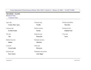 Arizona Department of Water Resources Phoenix AMA­ 3550 N. Central Ave. ­ Phoenix, AZ  85012     Tel. 602­771­8585 


Succulents / Accents 
Botanical Name 
     Common Name 


Agave spp.                                          Fouquieria spp.                                   Portulaca grandiflora 
     Century Plant, Agave                               Ocotillo                                          Moss Rose 

Aizoaceae spp.                                      Hechtia montana                                   Portulacaria afra 
     Ice Plant Family                                   Hechtia                                           Elephant Food 

Aloe spp.                                           Hesperaloe spp.                                   Yucca spp. 
     Aloe                                               Hesperaloe                                        Yucca 

Bulbine frutescens                                  Manfreda maculosa 
     Bulbine                                            Manfreda 

Cactaceae                                           Nolina spp. 
     Cactus Family                                      Bear­grass 

Dasylirion spp.                                     Pedilanthus macrocarpus 
     Desert Spoon                                       Lady Slipper 




Updated 08/04                                                                                                                  Page 20 of 26 
 