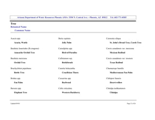 Arizona Department of Water Resources Phoenix AMA­ 3550 N. Central Ave. ­ Phoenix, AZ  85012     Tel. 602­771­8585 


Tree 
Botanical Name 
     Common Name 


Acacia spp.                                         Butia capitata                                    Ceratonia siliqua 
     Acacia, Wattle                                     Jelly Palm                                        St. John's Bread Tree, Carob Tree 

Bauhinia lunariodes (B.congesta)                    Caesalpinia spp.                                  Cercis canadensis var. mexicana 
     Anacacho Orchid Tree                               Bird­of­Paradise                                  Mexican Redbud 

Bauhinia mexicana                                   Callistemon ssp.                                  Cercis canadensis var. texensis 
     Orchid Tree                                        Bottlebrush                                       Texas Redbud 

Brachychiton populneus                              Canotia holacantha                                Chamaerops humilis 
     Bottle Tree                                        Crucifixion Thorn                                 Mediterranean Fan Palm 

Brahea spp.                                         Casuarina spp.                                    Chilopsis linearis 
     Fan Palm                                           Beefwood                                          Desert­willow 

Bursera spp.                                        Celtis reticulata                                 Chitalpa tashkentensis 
     Elephant Tree                                      Western Hackberry                                 Chitalpa 




Updated 08/04                                                                                                                   Page 21 of 26 
 