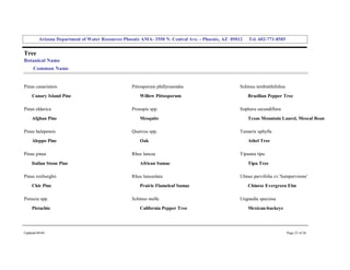 Arizona Department of Water Resources Phoenix AMA­ 3550 N. Central Ave. ­ Phoenix, AZ  85012     Tel. 602­771­8585 


Tree 
Botanical Name 
     Common Name 


Pinus canariensis                                   Pittosporum phillyraeoides                        Schinus terebinthifolius 
     Canary Island Pine                                 Willow Pittosporum                                Brazilian Pepper Tree 

Pinus eldarica                                      Prosopis spp.                                     Sophora secundiflora 
     Afghan Pine                                        Mesquite                                          Texas Mountain Laurel, Mescal Bean 

Pinus halepensis                                    Quercus spp.                                      Tamarix aphylla 
     Aleppo Pine                                        Oak                                               Athel Tree 

Pinus pinea                                         Rhus lancea                                       Tipuana tipu 
     Italian Stone Pine                                 African Sumac                                     Tipu Tree 

Pinus roxburghii                                    Rhus lanceolata                                   Ulmus parvifolia cv.'Sempervirens' 
     Chir Pine                                          Prairie Flameleaf Sumac                           Chinese Evergreen Elm 

Pistacia spp.                                       Schinus molle                                     Ungnadia speciosa 
     Pistachio                                          California Pepper Tree                            Mexican­buckeye 




Updated 08/04                                                                                                                     Page 23 of 26 
 