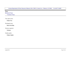 Arizona Department of Water Resources Phoenix AMA­ 3550 N. Central Ave. ­ Phoenix, AZ  85012     Tel. 602­771­8585 


Tree 
Botanical Name 
     Common Name 


Vitex agnus­castus 
     Chaste Tree 

Washingtonia spp. 
     Desert Fan Palm 

Xylosma congestum 
     Xylosma 

Ziziphus jujuba 
     Chinese Jujube 




Updated 08/04                                                                                                                  Page 24 of 26 
 