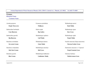 Arizona Department of Water Resources Phoenix AMA­ 3550 N. Central Ave. ­ Phoenix, AZ  85012     Tel. 602­771­8585 


Grasses 
Botanical Name 
     Common Name 


Aristida purpurea                                   Erioneuron pulchellum                             Muhlenbergia porteri 
     Purple Three­awn                                   Fluffgrass                                        Bush Muhly 

Bothriochloa barbinodis                             Hilaria rigida                                    Muhlenbergia rigens 
     Cane Bluestem                                      Big Galleta                                       Deer Grass 

Bothriochloa gerardii                               Muhlenbergia capillaris                           Muhlenbergia rigida 
     Big Bluestem                                       Gulf Muhly                                        Purple Muhly 

Bouteloua aristidoides                              Muhlenbergia dumosa                               Nasella tenuissma (Stipa tenuissima) 
     Six­weeks Grama                                    Giant Muhly                                       Mexican Feather Grass 

Bouteloua curtipendula                              Muhlenbergia emersleyi                            Pennisetum setaceum cv. 'Cupreum' 
     Side Oats Grama                                    Bull Grass                                        Purple Fountain Grass 

Bouteloua gracilis                                  Muhlenbergia lindheimeri                          Schismus barbatus 
     Blue Grama                                         Lindheimer Muhly                                  Mediterranean Grass 




Updated 08/04                                                                                                                  Page 6 of 26 
 