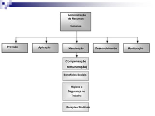 Administração
de Recursos
Humanos
Provisão Aplicação Manutenção Desenvolvimento Monitoração
Compensação
remuneração)
Higiene e
Segurança no
Trabalho
Benefícios Sociais
Relações Sindicais
 