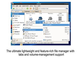The ultimate lightweight and feature-rich file manager with tabs and volume-management support 