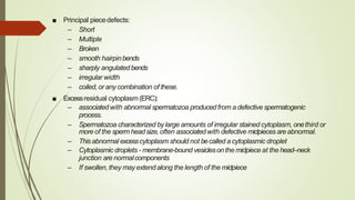 Sperm_Morphology.pptx