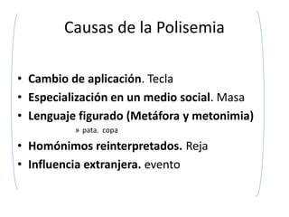 Causas de la Polisemia

• Cambio de aplicación. Tecla
• Especialización en un medio social. Masa
• Lenguaje figurado (Metáfora y metonimia)
          » pata. copa

• Homónimos reinterpretados. Reja
• Influencia extranjera. evento
 