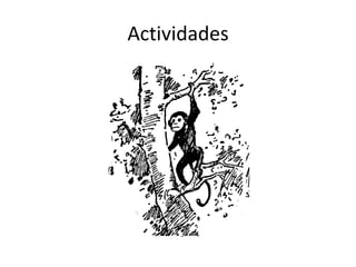 Actividades
 