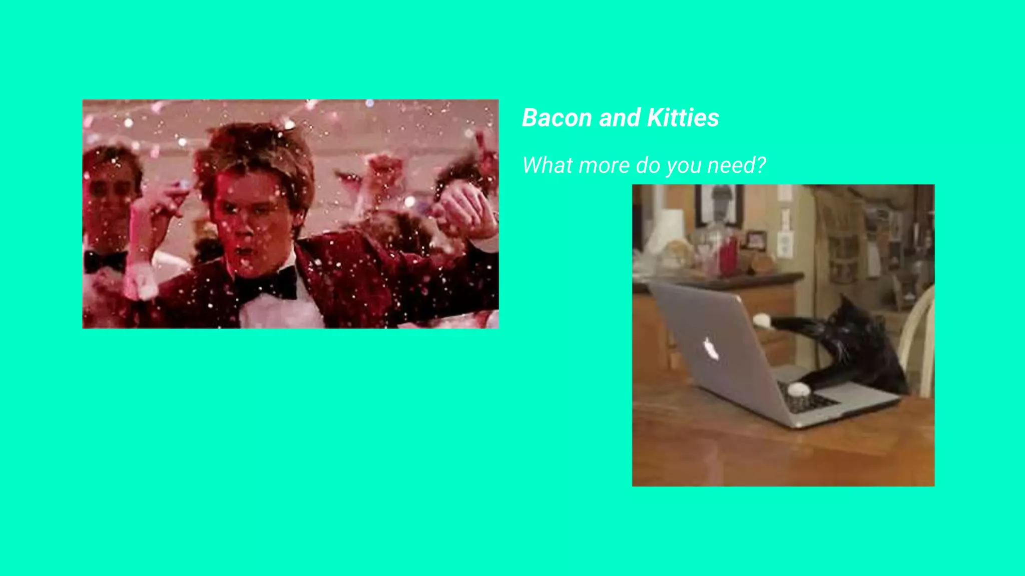 Bacon and Kitties
What more do you need?
 