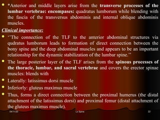 Lumbar Spnine: Anatomy, Biomechanics and Pathomechanics | PDF