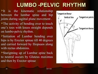 Lumbar Spnine: Anatomy, Biomechanics and Pathomechanics | PDF