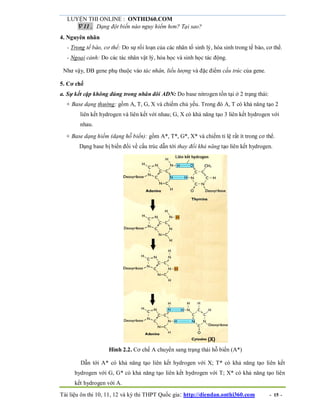 LUYỆN THI ONLINE : ONTHI360.COM
Tài liệu ôn thi 10, 11, 12 và kỳ thi THPT Quốc gia: http://diendan.onthi360.com - 15 -
 11. Dạng đột biến nào nguy hiểm hơn? Tại sao?
4. Nguyên nhân
- Trong tế bào, cơ thể: Do sự rối loạn của các nhân tố sinh lý, hóa sinh trong tế bào, cơ thể.
- Ngoại cảnh: Do các tác nhân vật lý, hóa học và sinh học tác động.
Như vậy, ĐB gene phụ thuộc vào tác nhân, liều lượng và đặc điểm cấu trúc của gene.
5. Cơ chế
a. Sự kết cặp không đúng trong nhân đôi ADN: Do base nitrogen tồn tại ở 2 trạng thái:
+ Base dạng thường: gồm A, T, G, X và chiếm chủ yếu. Trong đó A, T có khả năng tạo 2
liên kết hydrogen và liên kết với nhau; G, X có khả năng tạo 3 liên kết hydrogen với
nhau.
+ Base dạng hiếm (dạng hỗ biến): gồm A*, T*, G*, X* và chiếm tỉ lệ rất ít trong cơ thể.
Dạng base bị biến đổi về cấu trúc dẫn tới thay đổi khả năng tạo liên kết hydrogen.
Hình 2.2. Cơ chế A chuyển sang trạng thái hỗ biến (A*)
Dẫn tới A* có khả năng tạo liên kết hydrogen với X; T* có khả năng tạo liên kết
hydrogen với G, G* có khả năng tạo liên kết hydrogen với T; X* có khả năng tạo liên
kết hydrogen với A.
 