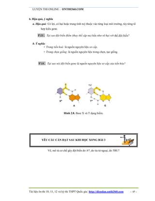 LUYỆN THI ONLINE : ONTHI360.COM
Tài liệu ôn thi 10, 11, 12 và kỳ thi THPT Quốc gia: http://diendan.onthi360.com - 17 -
6. Hậu quả, ý nghĩa
a. Hậu quả: Có lợi, có hại hoặc trung tính tuỳ thuộc vào từng loại môi trường, tùy từng tổ
hợp kiểu gene.
 13. Tại sao đột biến điểm (thay thế cặp nu) hầu như vô hại với thể đột biến?
b. Ý nghĩa:
+ Trong tiến hoá: là nguồn nguyên liệu sơ cấp.cho quá trình tiến ho
+ Trong chọn giống: là nguồn nguyên liệu trong chọn, tạo giống. cấp nguồn
nguyên
 14. Tại sao nói đột biến gene là nguồn nguyên liệu sơ cấp của tiến hóa?
Hình 2.8. Base X và T dạng hiếm.
YÊU CẦU CẦN ĐẠT SAU KHI HỌC XONG BÀI 3
Vẽ, mô tả cơ chế gây đột biến do A*, do tia tử ngoại, do 5BU?
 