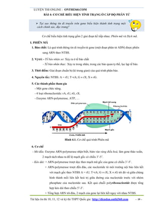 LUYỆN THI ONLINE : ONTHI360.COM
Tài liệu ôn thi 10, 11, 12 và kỳ thi THPT Quốc gia: http://diendan.onthi360.com - 19 -
BÀI 4: CƠ CHẾ BIỂU HIỆN TÍNH TRẠNG Ở CẤP ĐỘ PHÂN TỬ
 Tại sao thông tin di truyền trên gene biểu hiện thành tính trạng một
cách chính xác, đặc trưng?
Cơ chế biểu hiện tính trạng gồm 2 giai đoạn kế tiếp nhau: Phiên mã và Dịch mã.
I. PHIÊN MÃ
1. Bản chất: Là quá trình thông tin di truyền từ gene (một đoạn phân tử ADN) được phiên
sang ARN theo NTBS.
2. Vị trí: - Tế bào nhân sơ: Xảy ra ở tế bào chất
- Tế bào nhân thực: Xảy ra trong nhân, trong các bào quan ty thể, lục lạp tế bào.
3. Thời điểm: Giai đoạn chuẩn bị (kì trung gian) của quá trình phân bào.
4. Nguyên tắc: NTBS: A = rU; T=rA; G  rX; X  rG.
5. Các thành phần tham gia
- Một gene chức năng.
- 4 loại ribonucleotide: rA, rU, rG, rX.
- Enzyme ARN-polymerase, ATP, …
Hình 4.1. Cơ chế quá trình Phiên mã
6. Cơ chế
- Mở đầu: Enzyme ARN-polymerase nhận biết, bám vào vùng điều hoà, làm gene tháo xoắn,
2 mạch tách nhau ra để lộ mạch gốc có chiều 3’-5’.
- Kéo dài: + ARN-polymerase trượt dọc theo mạch mã gốc của gene có chiều 3’-5’.
+ ARN-polymerase trượt đến đâu, các nucleotide từ môi trường nội bào liên kết
với mạch gốc theo NTBS A = rU; T=rA; G  rX; X  rG tới đó và giữa chúng
hình thành mối liên kết hoá trị giữa đường của nucleotide trước với nhóm
phosphate của nucleotide sau. Kết quả chuỗi polyribonucleotide được tổng
hợp kéo dài theo chiều 5’-3’.
+ Tổng hợp ARN tới đâu, 2 mạch của gene lại liên kết ngay với nhau NTBS.
 
