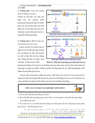 LUYỆN THI ONLINE : ONTHI360.COM
Tài liệu ôn thi 10, 11, 12 và kỳ thi THPT Quốc gia: http://diendan.onthi360.com - 27 -
2. Cơ chế
a. Trường hợp 1: Khi môi trường
nuôi cấy không có lactose:
Protein ức chế bám vào vùng vận
hành làm cho enzyme ARN
polymerase không thể trượt tới nhóm
gene cấu trúc để thực hiện quá trình
phiên mã. Từ đó nhóm gene cấu trúc
tổng hợp enzyme phân giải lactose ở
trạng thái không hoạt động.
b. Trường hơp 2: Khi bổ sung vào
môi trường nuôi cấy lactose.
Lactose sau khi vào trong tế bào sẽ
đóng vai trò là chất cảm ứng, nó liên
kết với protein ức chế, làm protein
ức chế bị biến đổi cấu trúc không
gian, không thể bám vào được vùng
vận hành. Từ đó enzyme ARN- Hình 5.2. Điều hòa hoạt động gene phân giải Lactose
polymerase không còn bị cản trở và dễ dàng trượt qua nhóm gene cấu trúc thực hiện phiên mã
tổng hợp các phân tử mARN. mARN qua dịch mã tổng hợp nên các chuỗi polypeptide, hình
thành enzyme phân giải lactose.
Enzyme được tổng hợp ra phân giải lactose. Hết lactose thì sự tồn tại của enzyme này là
không cần thiết. Rõ ràng khi hết lactose thì protein ức chế không còn bị cản trở và lại bám vào
vùng vận hành của Operon từ đó nhóm gene cấu trúc lại không hoạt động.
YÊU CẦU CẦN ĐẠT SAU KHI HỌC XONG BÀI 5
1. Tại sao cần điều hòa hoạt động của gene?
2. Bản chất điều hòa hoạt động gene là gì? Trên cơ sở đó người ta chia điều hòa hoạt động
gene thành mấy loại?
3. Vẽ sơ đồ, mô tả cơ chế điều hòa hoạt động của nhóm gene cấu trúc tổng hợp enzyme phân
giải lactose – Mô hình operon Lac?
If you’re born poor, it’s not your mistake. But if you die
poor, it’s your mistake” - Bill Gates –
(Nếu bạn sinh ra trong nghèo khó, đó không phải lỗi của bạn. Nhưng nếu chết trong nghèo khó thì đó là lỗi của bạn)
 