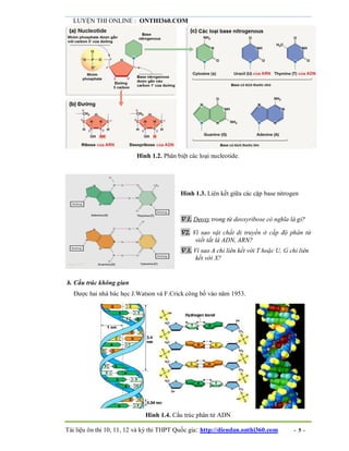 LUYỆN THI ONLINE : ONTHI360.COM
Tài liệu ôn thi 10, 11, 12 và kỳ thi THPT Quốc gia: http://diendan.onthi360.com - 5 -
Hình 1.2. Phân biệt các loại nucleotide.
Hình 1.3. Liên kết giữa các cặp base nitrogen
 1. Deoxy trong từ deoxyribose có nghĩa là gì?
2. Vì sao vật chất di truyền ở cấp độ phân tử
viết tắt là ADN, ARN?
 3. Vì sao A chỉ liên kết với T hoặc U, G chỉ liên
kết với X?
b. Cấu trúc không gian
Được hai nhà bác học J.Watson và F.Crick công bố vào năm 1953.
Hình 1.4. Cấu trúc phân tử ADN
 