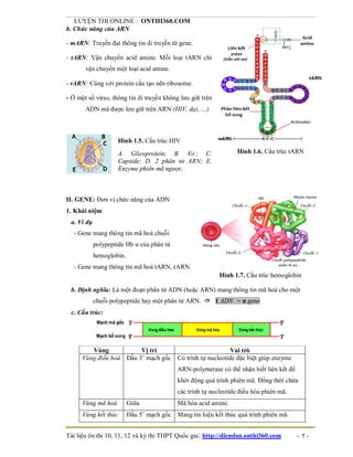 LUYỆN THI ONLINE : ONTHI360.COM
Tài liệu ôn thi 10, 11, 12 và kỳ thi THPT Quốc gia: http://diendan.onthi360.com - 7 -
b. Chức năng của ARN
- mARN: Truyền đạt thông tin di truyền từ gene.
- tARN: Vận chuyển acid amine. Mỗi loại tARN chỉ
vận chuyển một loại acid amine.
- rARN: Cùng với protein cấu tạo nên ribosome.
- Ở một số virus, thông tin di truyền không lưu giữ trên
ADN mà được lưu giữ trên ARN (HIV, dại, …)
Hình 1.5. Cấu trúc HIV
A. Glicoprotein; B. Vỏ ; C.
Capside; D. 2 phân tử ARN; E.
Enzyme phiên mã ngược.
Hình 1.6. Cấu trúc tARN
II. GENE: Đơn vị chức năng của ADN
1. Khái niệm
a. Ví dụ
- Gene mang thông tin mã hoá chuỗi
polypeptide Hb α của phân tử
hemoglobin.
- Gene mang thông tin mã hoá tARN, rARN.
Hình 1.7. Cấu trúc hemoglobin
b. Định nghĩa: Là một đoạn phân tử ADN (hoặc ARN) mang thông tin mã hoá cho một
chuỗi polypeptide hay một phân tử ARN.  1 ADN = n gene
c. Cấu trúc:
Vùng Vị trí Vai trò
Vùng điều hoà Đầu 3’ mạch gốc Có trình tự nucleotide đặc biệt giúp enzyme
ARN-polymerase có thể nhận biết liên kết để
khởi động quá trình phiên mã. Đồng thời chứa
các trình tự nucleotide điều hòa phiên mã.
Vùng mã hoá Giữa Mã hóa acid amine.
Vùng kết thúc Đầu 5’ mạch gốc Mang tín hiệu kết thúc quá trình phiên mã.
 