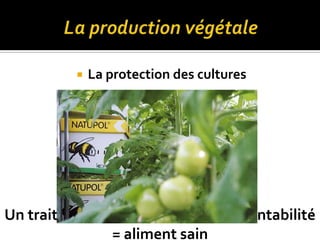  La protection des cultures
Un traitement raisonné = meilleur rentabilité
= aliment sain
 