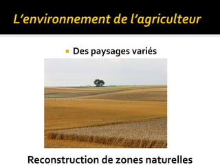  Des paysages variés
Reconstruction de zones naturelles
 