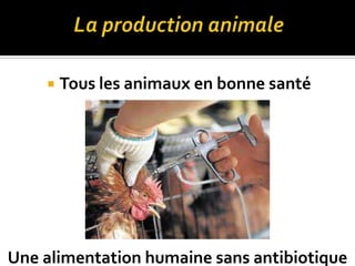  Tous les animaux en bonne santé
Une alimentation humaine sans antibiotique
 