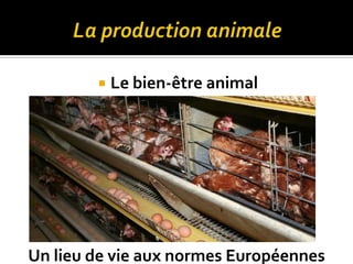  Le bien-être animal
Un lieu de vie aux normes Européennes
 
