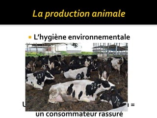  L’hygiène environnementale
Un animal sain dans un lieu sain =
un consommateur rassuré
 