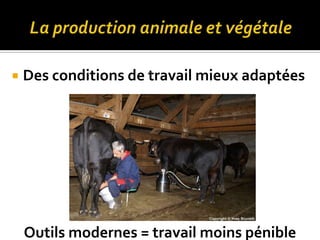  Des conditions de travail mieux adaptées
Outils modernes = travail moins pénible
 