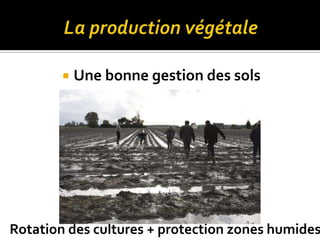  Une bonne gestion des sols
Rotation des cultures + protection zones humides
 