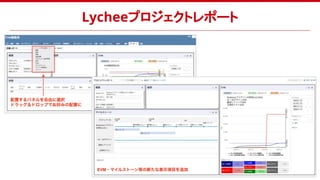Lycheeプロジェクトレポート
 